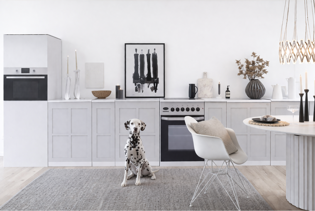 Cocina de cartón XXL – ejemplo de uso en Home Staging