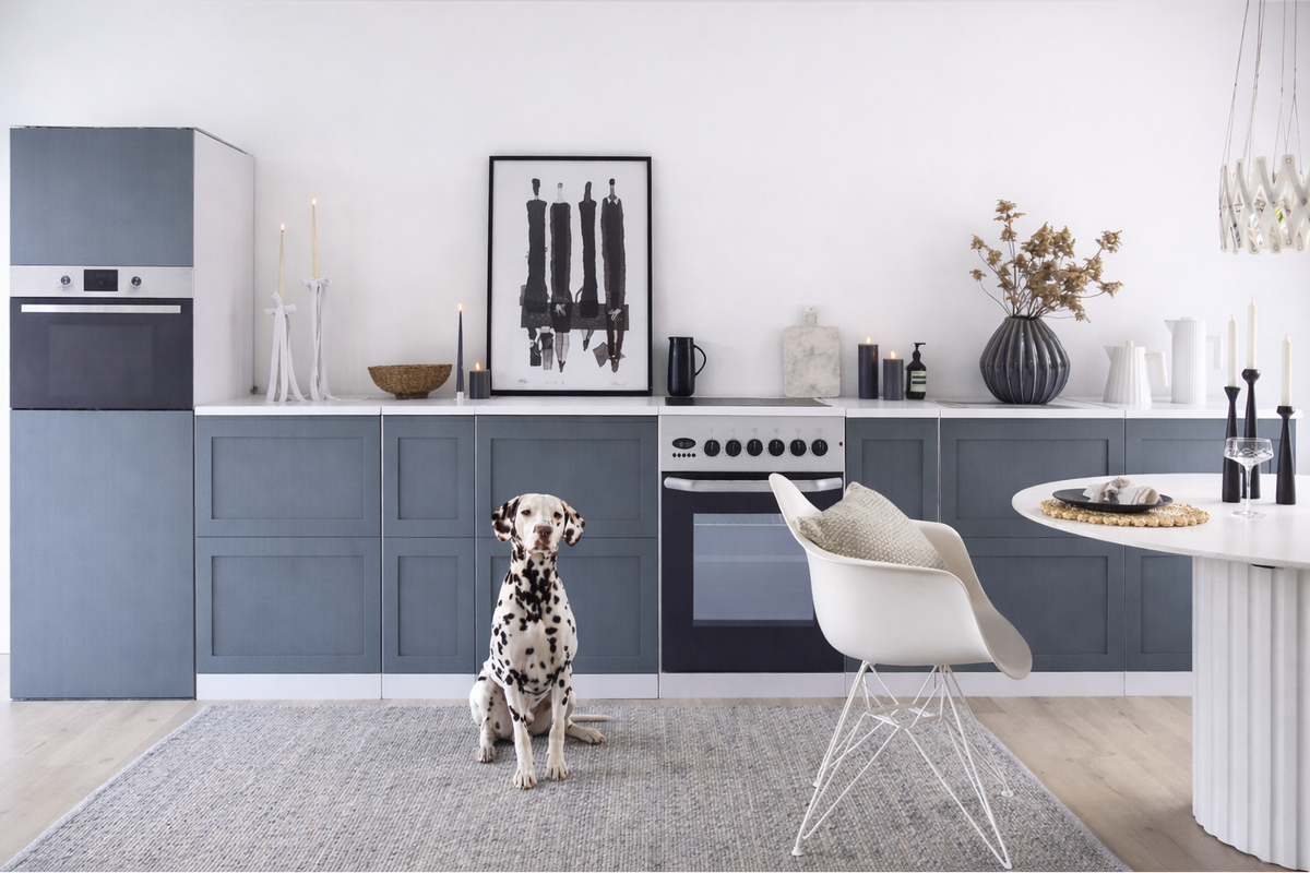Cocina de cartón XXL para Home Staging