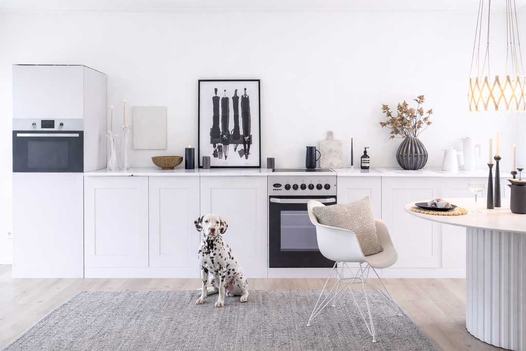 Cocina de cartón XXL – ejemplo de uso en Home Staging