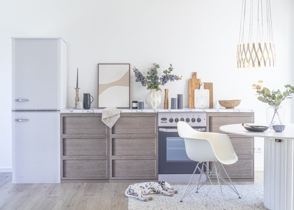 réplica de frigorífico FREEZEBERT para cozinhas de cartão para Home Staging