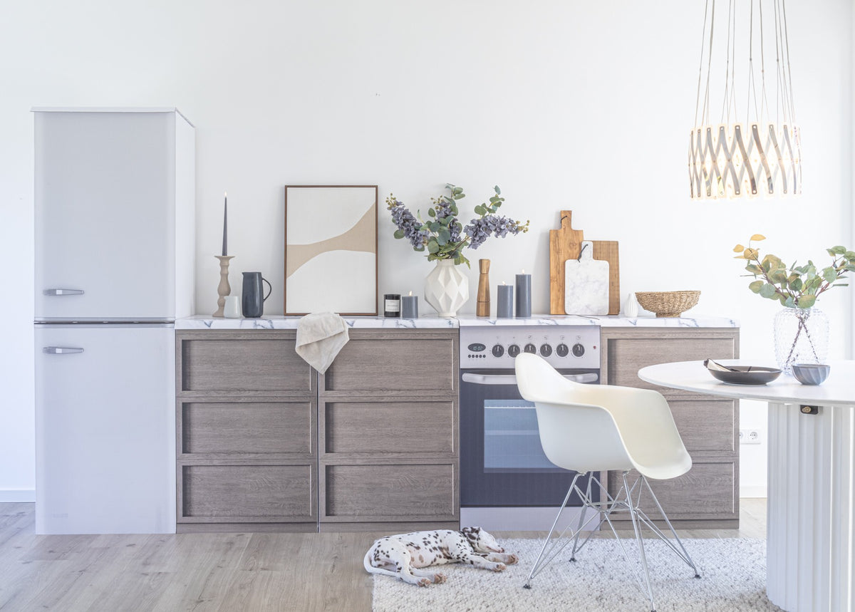 Réplica de frigorífico FREEZEBERT para cocinas de cartón de Home Staging